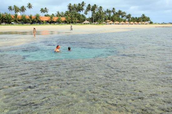 Pôrto das GalinhasCasa Em Serrambi Com Piscina E Terraco Amplo别墅 外观 照片